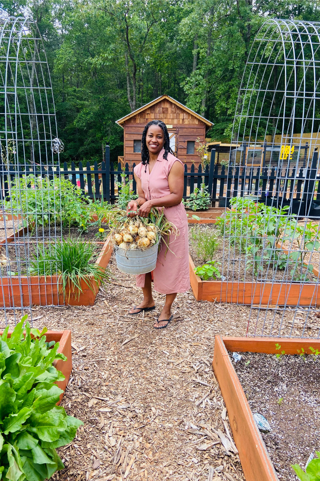 Embracing the Power of Herbal Remedies: Supporting Your Body with Tinctures, Oxymels, and Salves