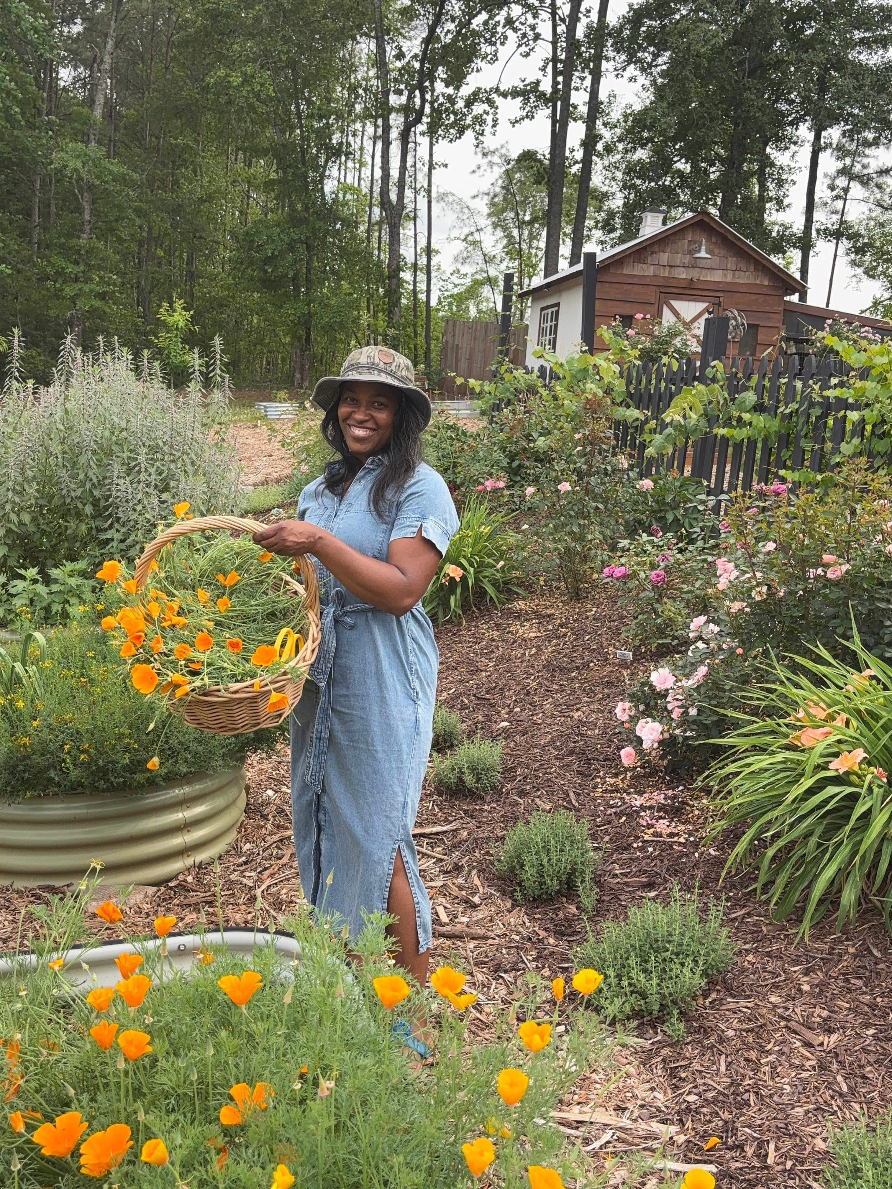 May on the Farm: Our First Harvest of Motherwort, St. John's Wort & California Poppy