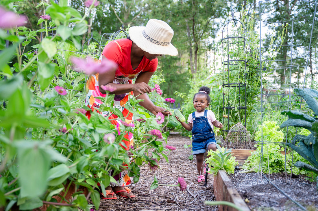 July Herb Focus: Cognition, Circulation, Vitality & Hydration
