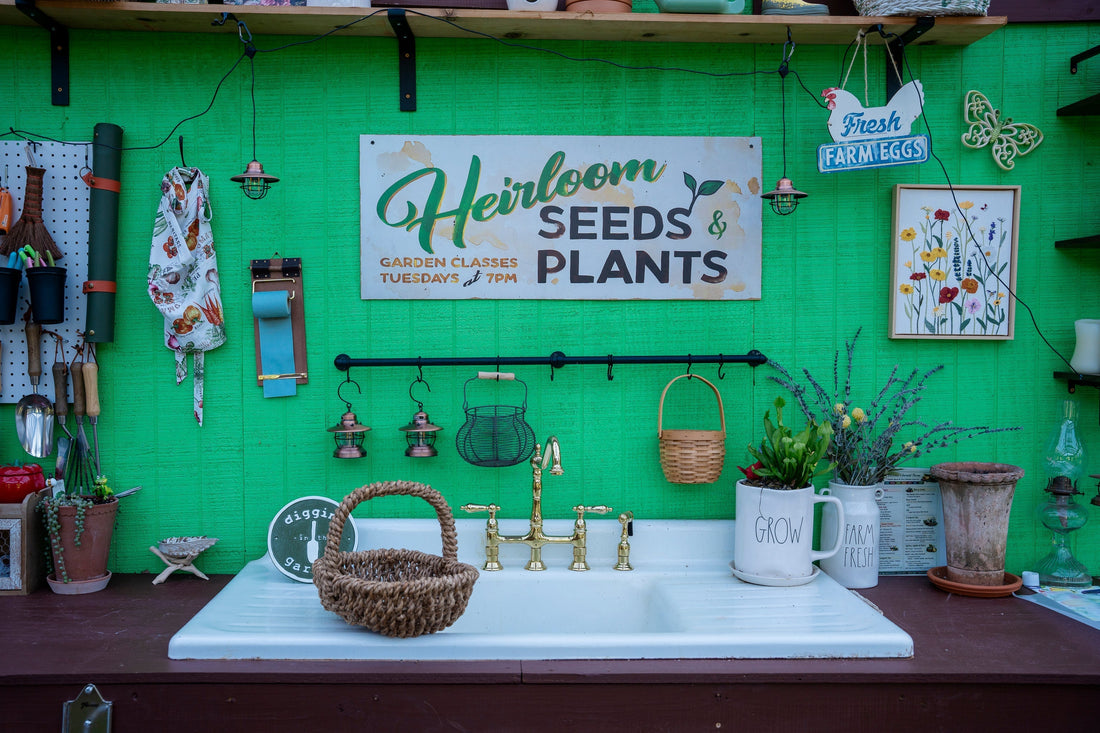 September Wellness Herbs: Month 9 of the Annual Herbal Wheel
