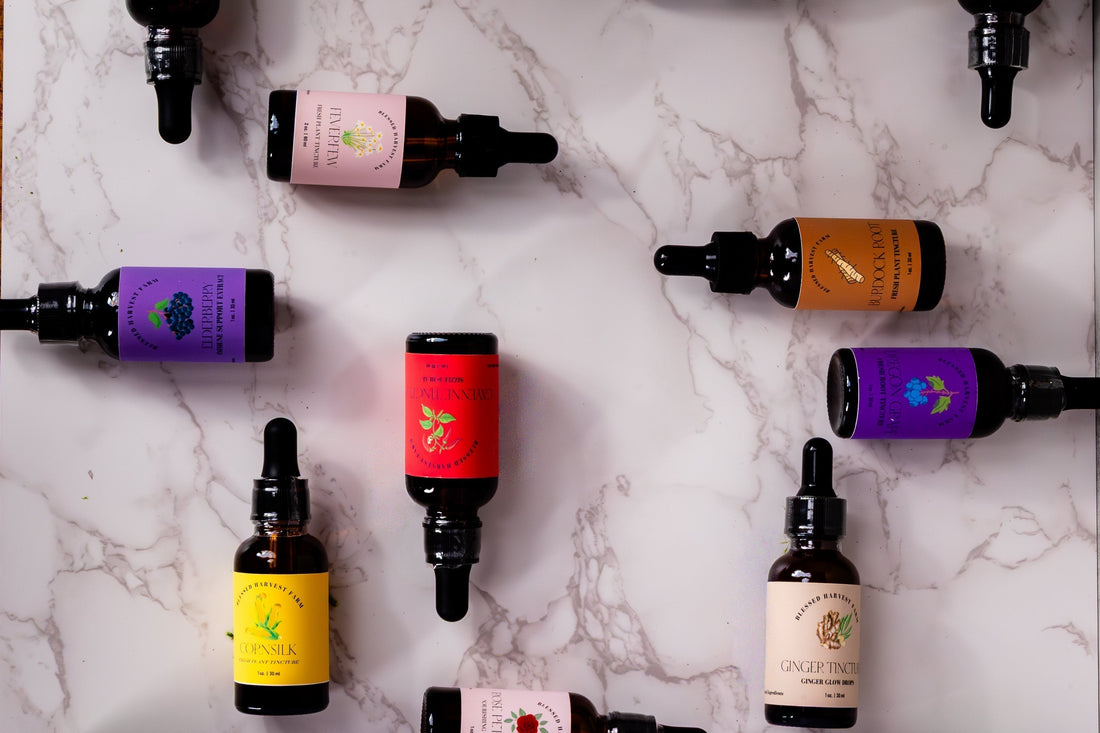 Annual Herbal Tincture Wheel: Align Your Health with the Seasons