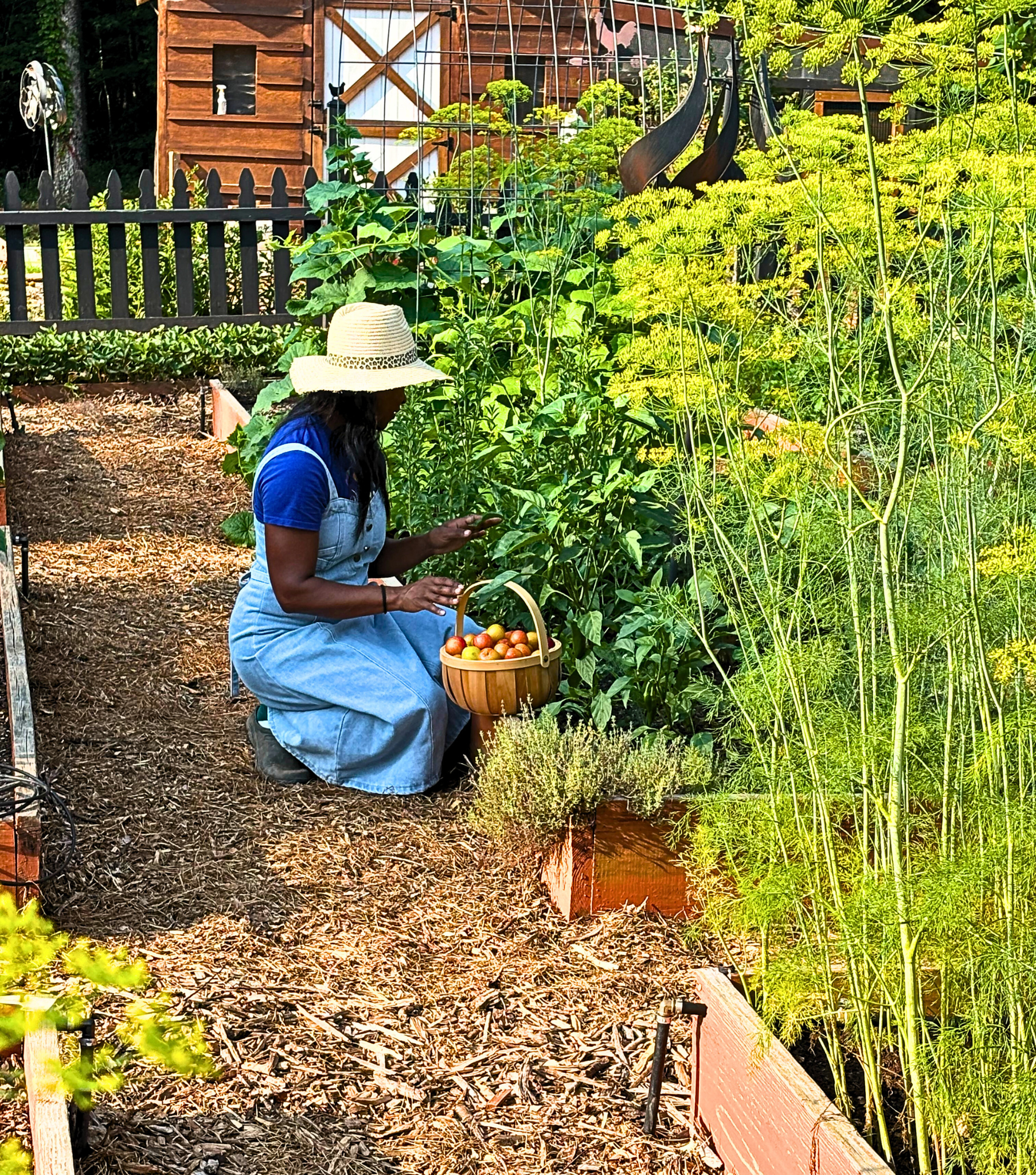 Herbal Teas & Infusions