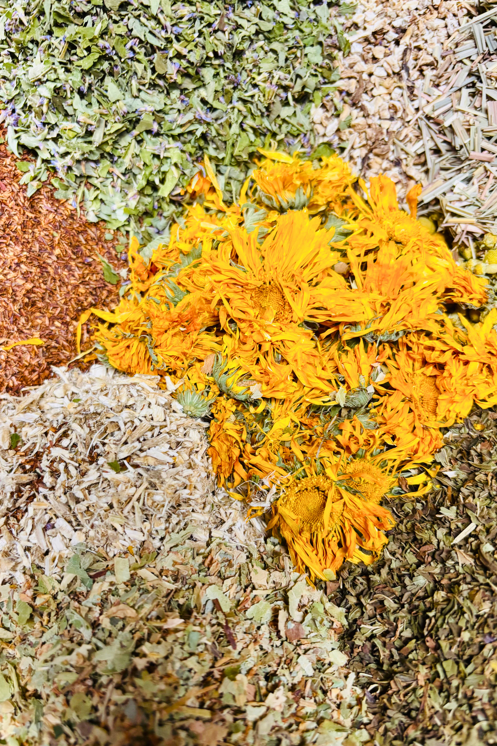 Digest & Bloom Tea