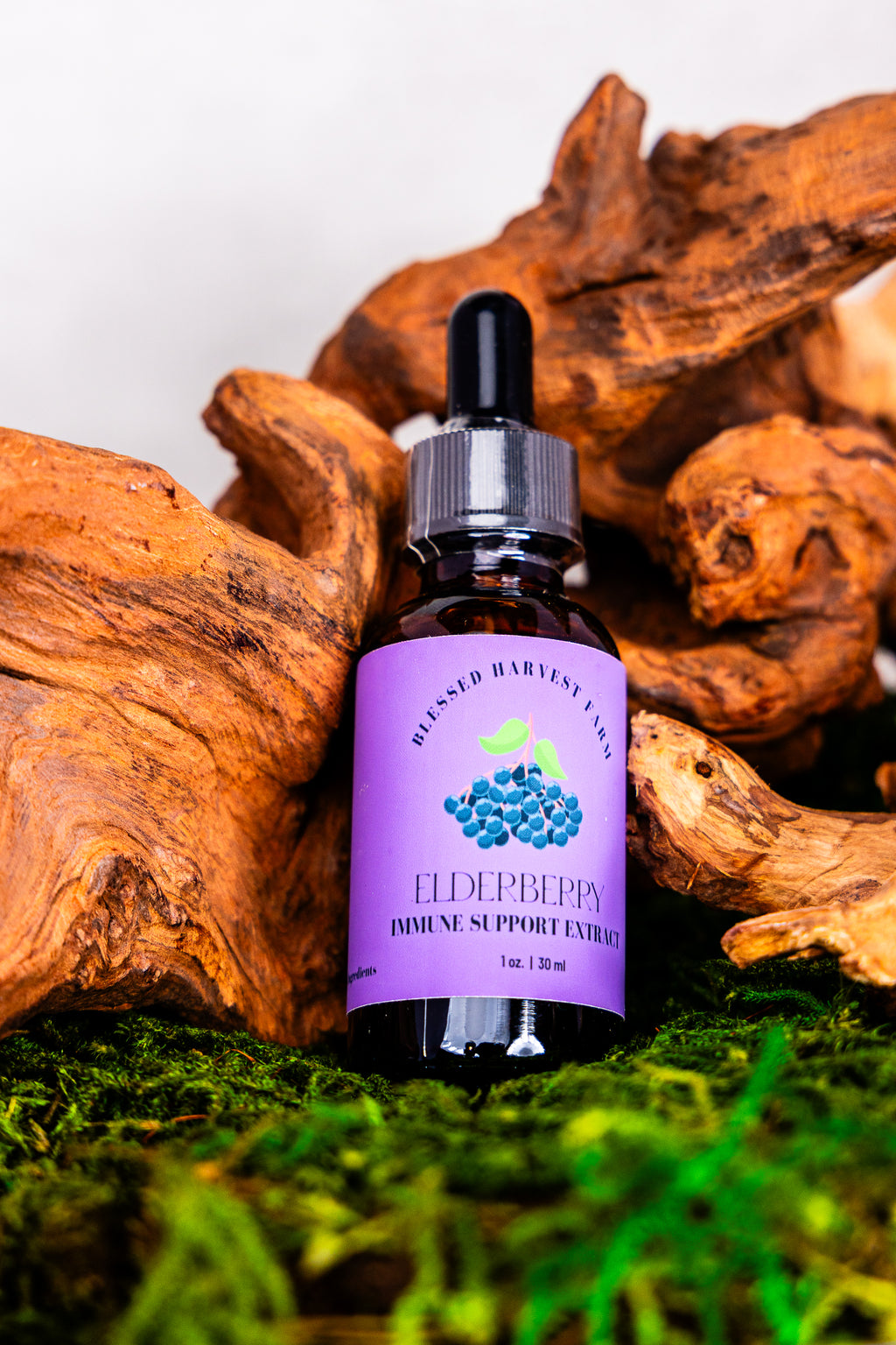 Elderberry Tincture