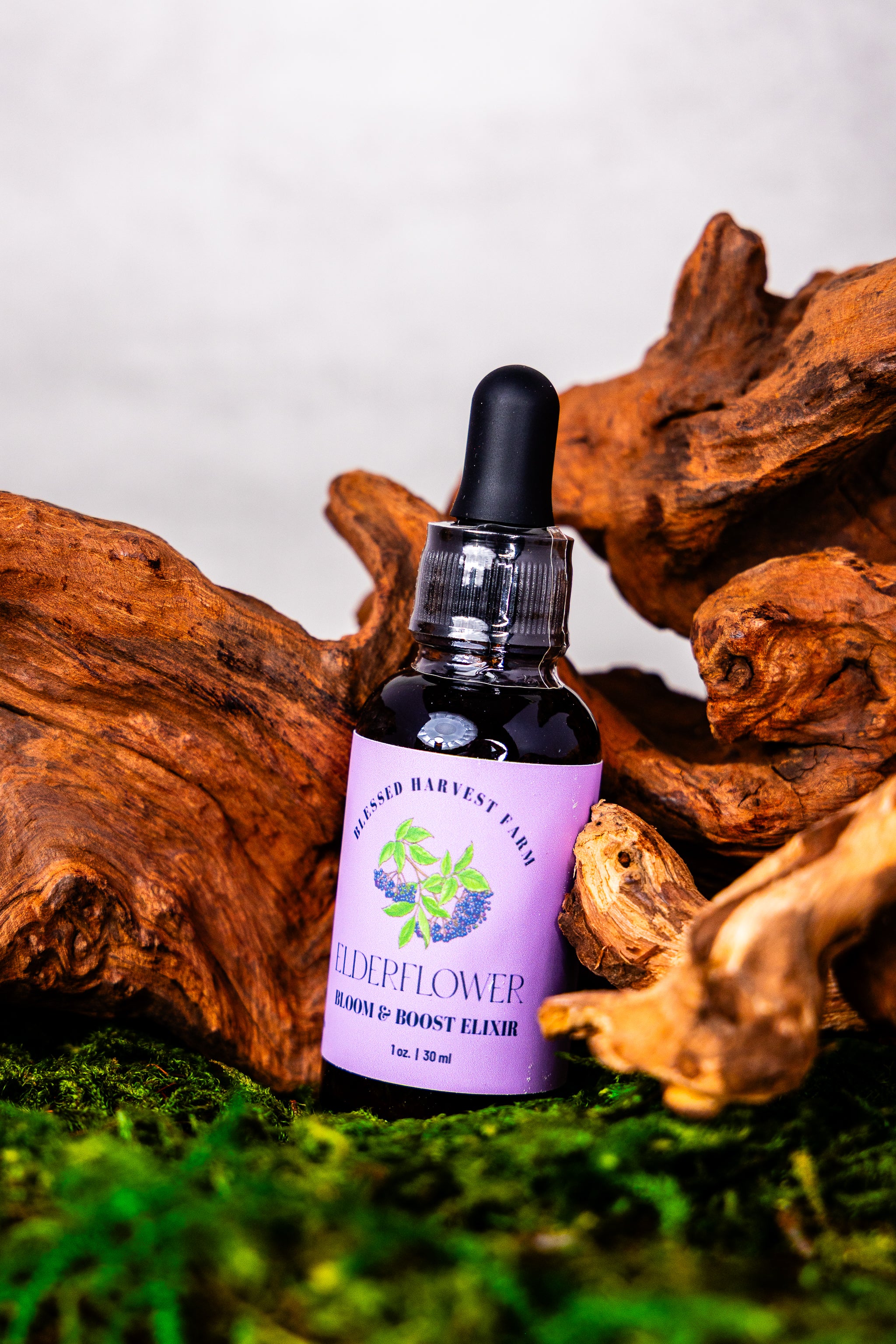 Elderflower Elixir