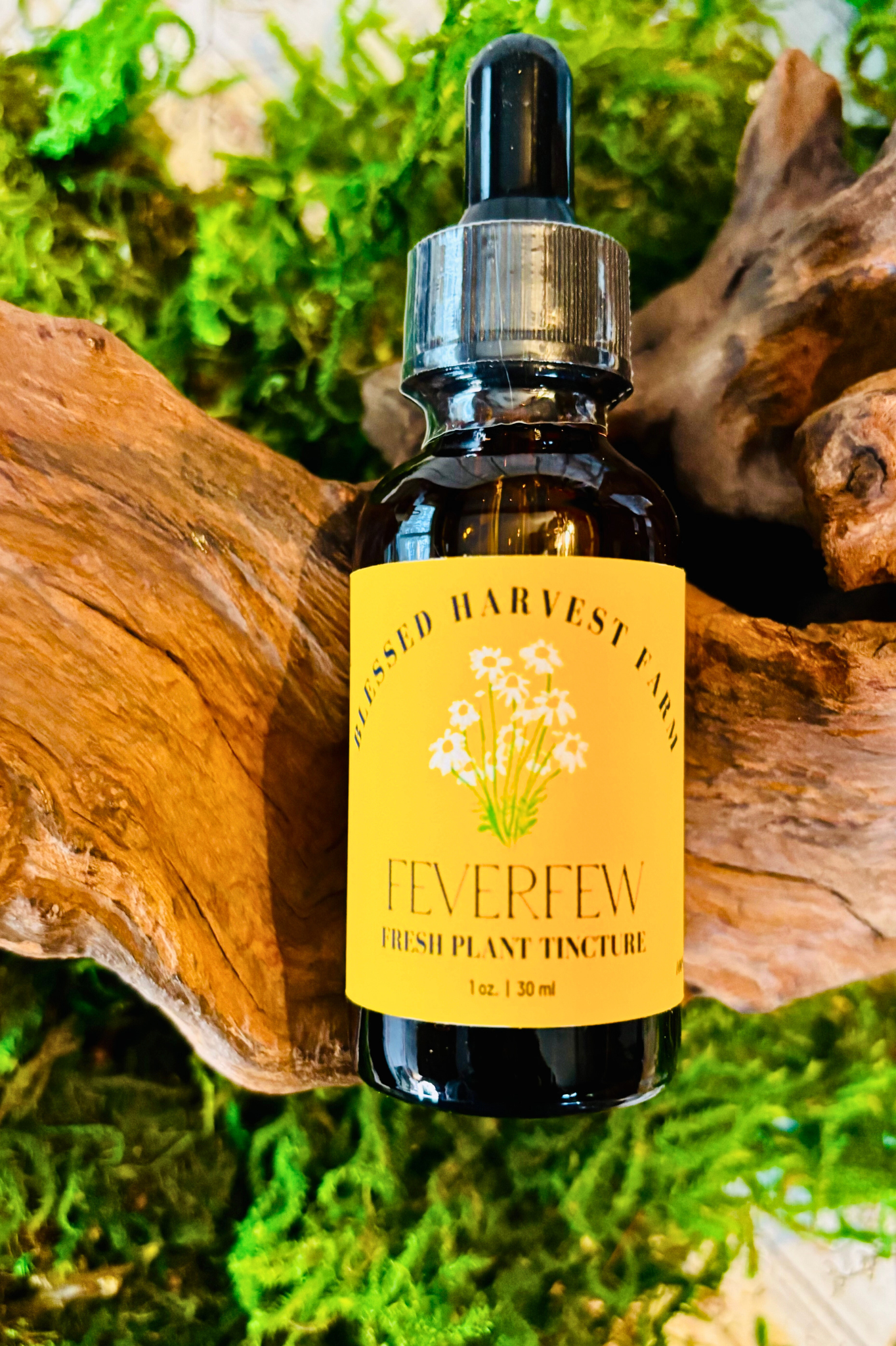 Feverfew Tincture
