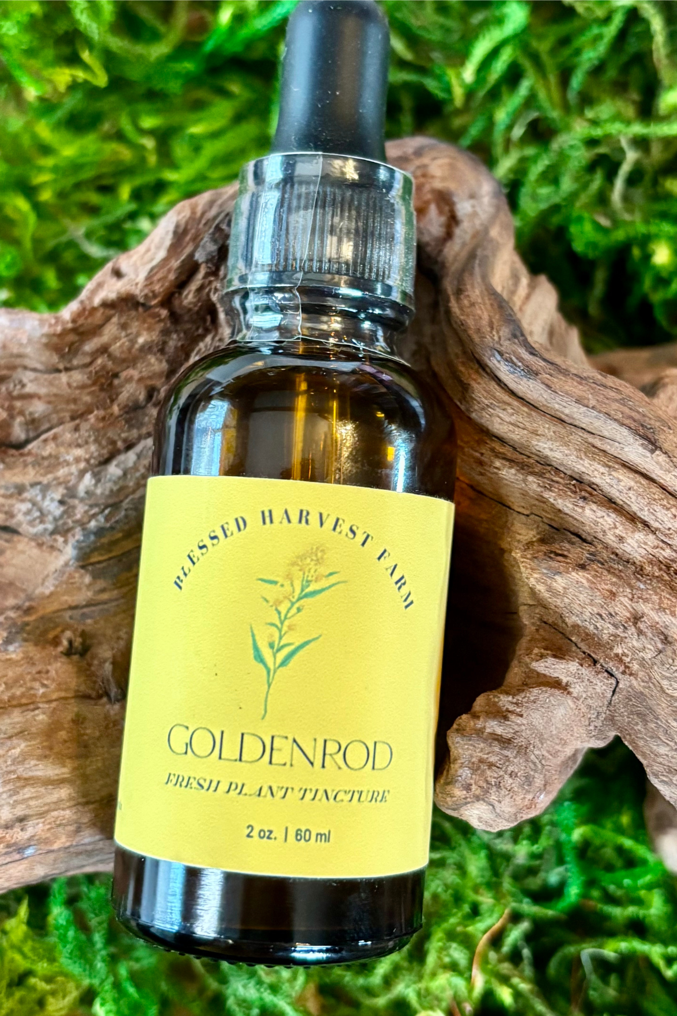 Goldenrod Tincture