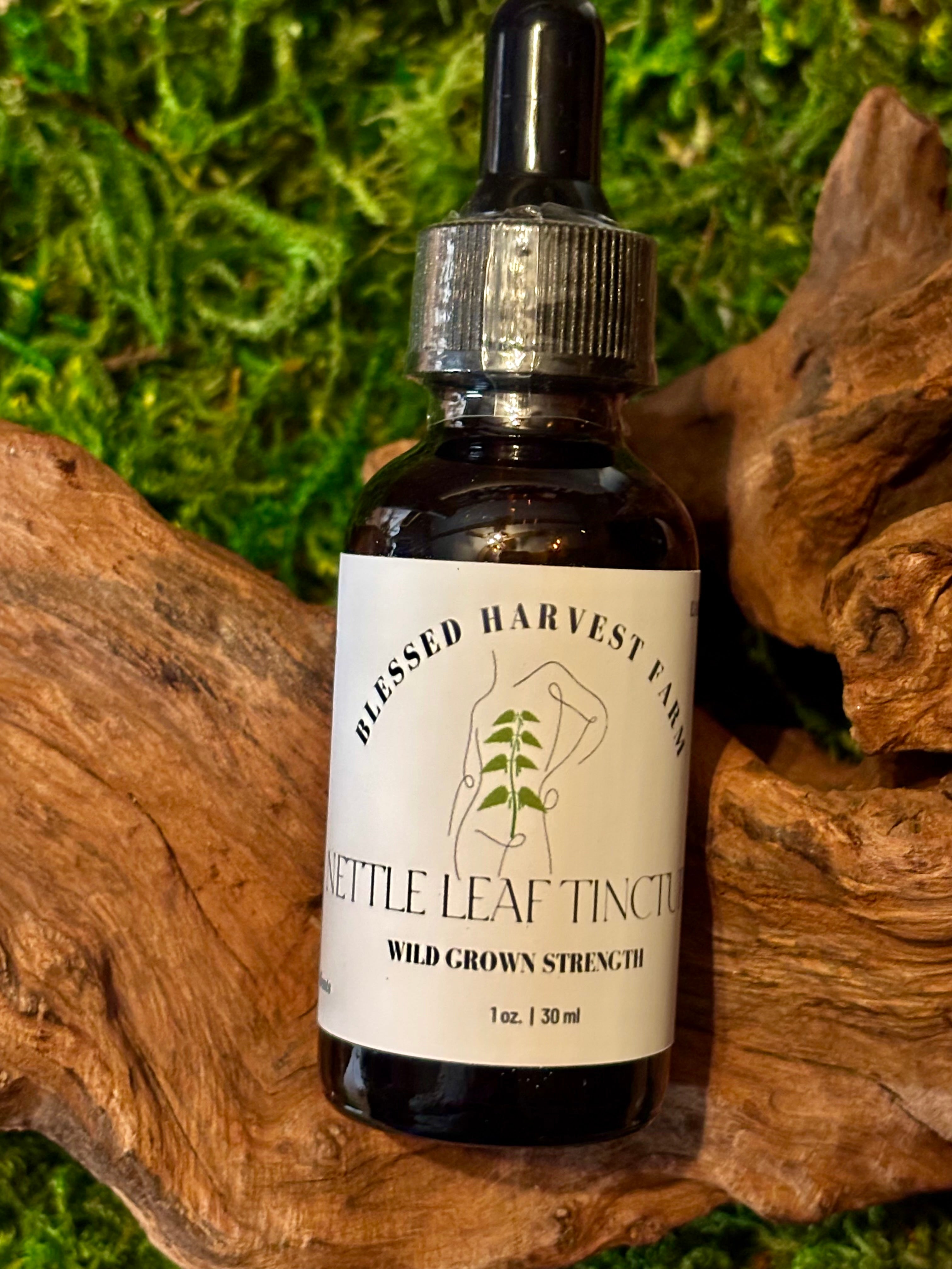 Nettle Tincture