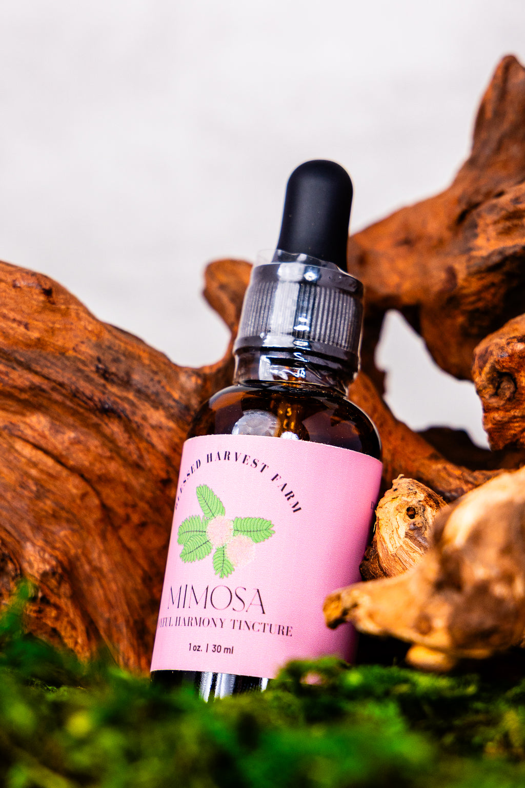 Mimosa Tincture