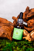 Tulsi Tincture