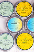 Comfrey & Plantain Salve