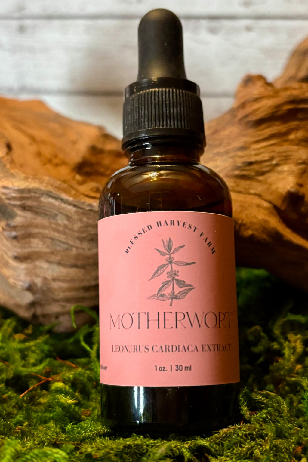 Motherwort Tincture