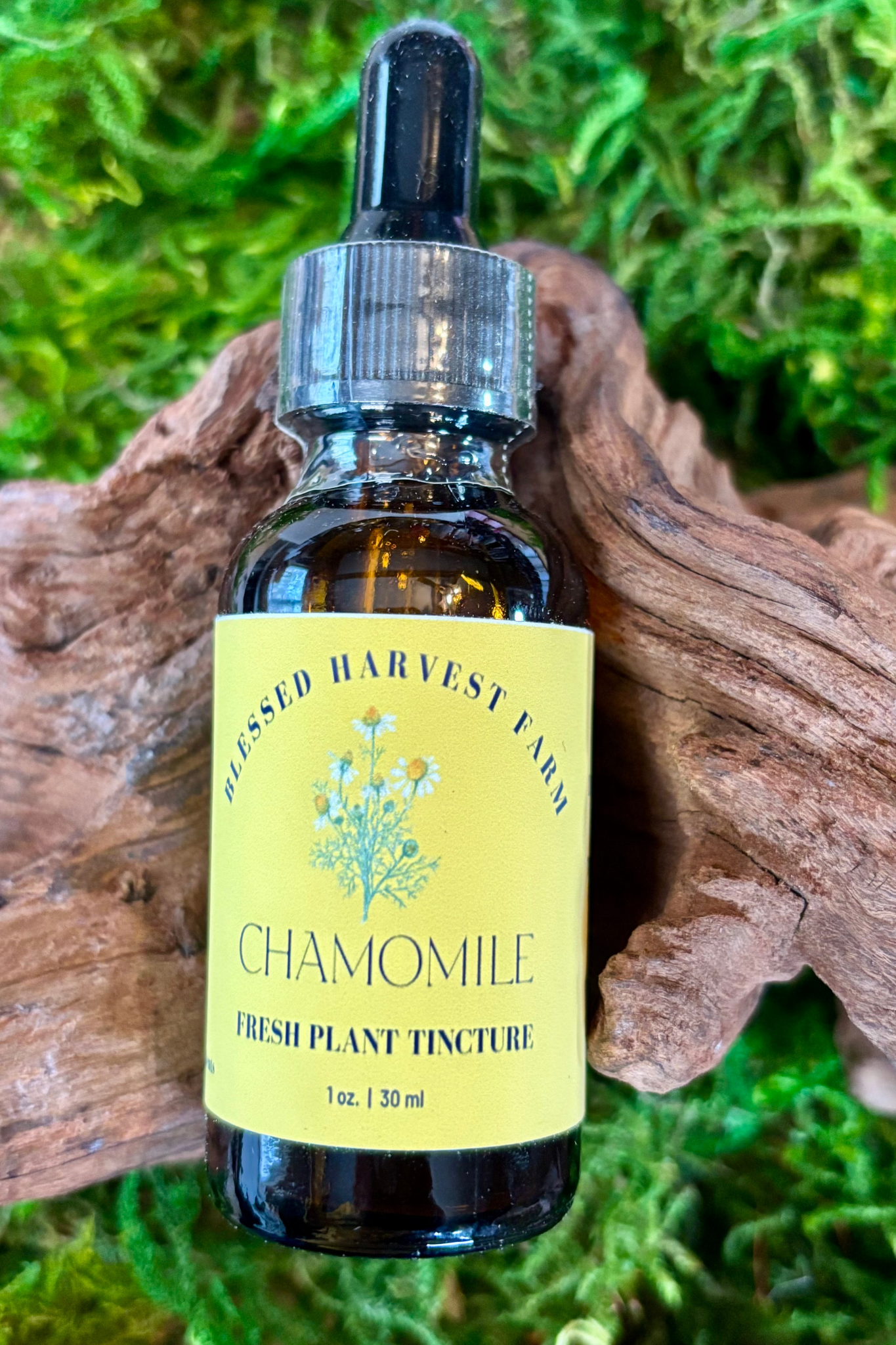 Chamomile Tincture